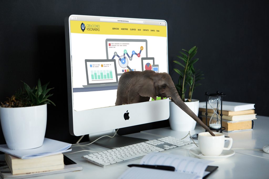 Diseño y desarrollo de sitios web